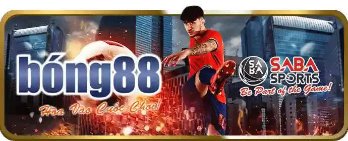 Hoàn trả hàng tuần 88ZX